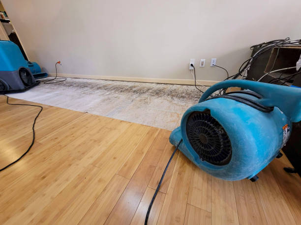 Reliable Storm Water Damage Restoration contractor in Morgan Hill, PA by Hirex Water Damage
