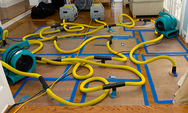 Professional Storm Water Damage Restoration technician working in Morgan Hill, PA